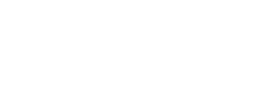 ShoeOrg - logo